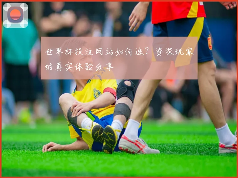 世界杯投注网站如何选?资深玩家的真实体验分享