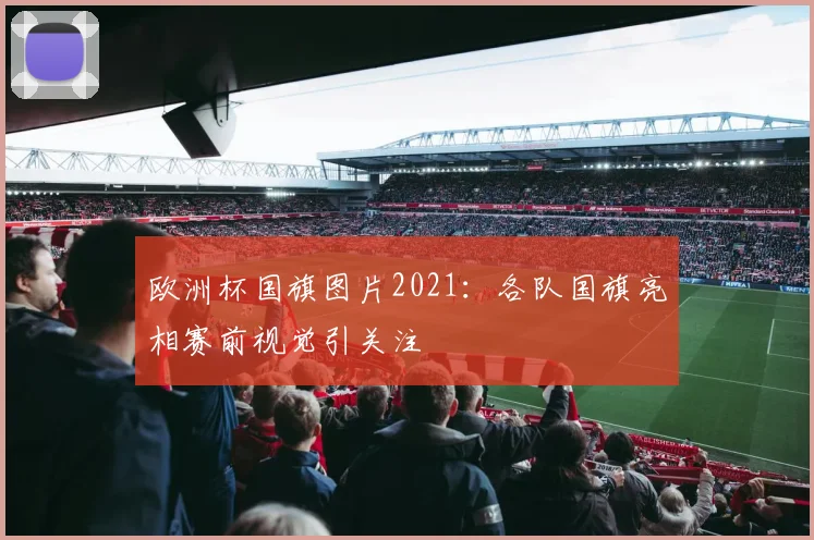 欧洲杯国旗图片2021：各队国旗亮相赛前视觉引关注
