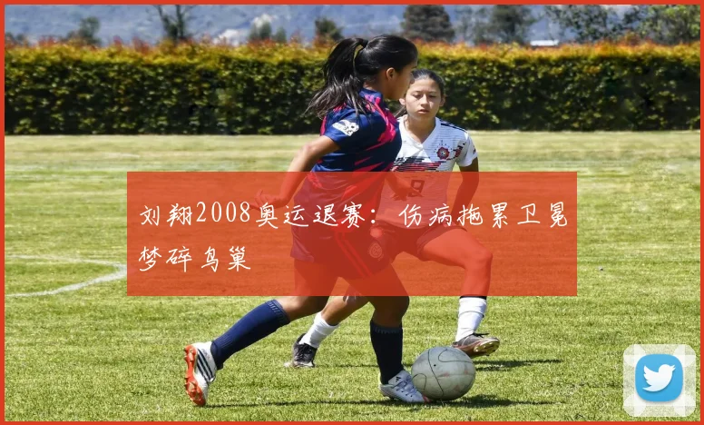 刘翔2008奥运退赛:伤病拖累卫冕梦碎鸟巢