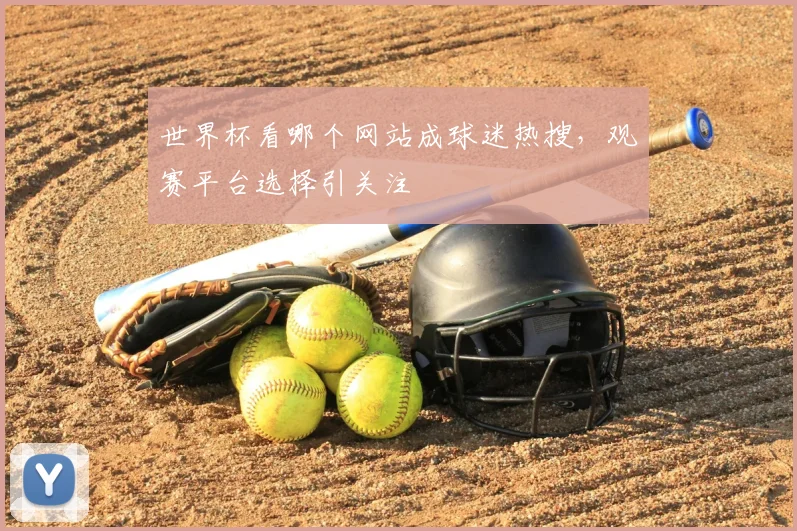 世界杯看哪个网站成球迷热搜，观赛平台选择引关注