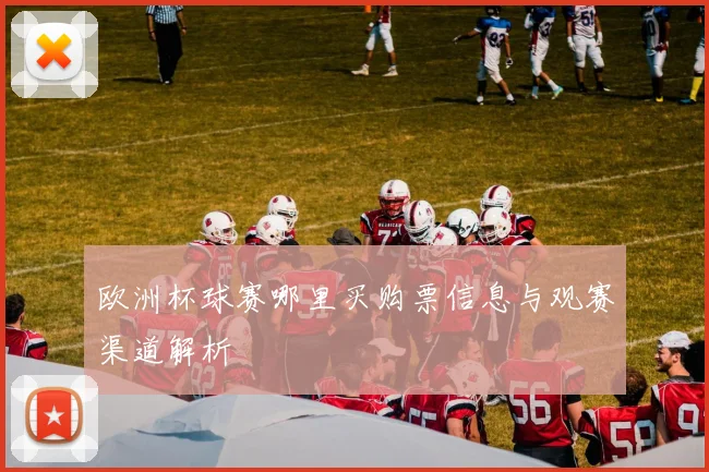 欧洲杯球赛哪里买购票信息与观赛渠道解析