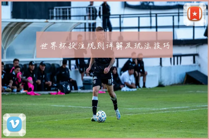 世界杯投注规则详解及玩法技巧